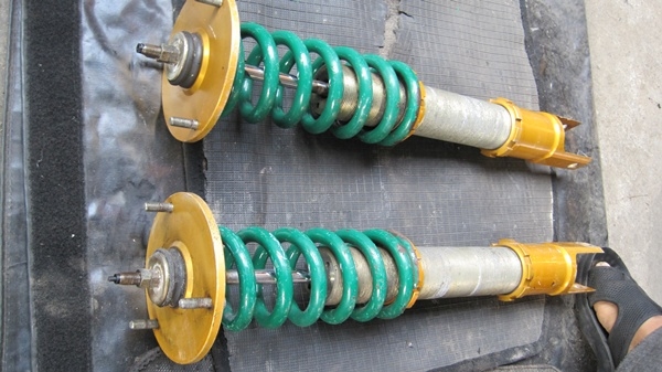 ขายโช๊ค  ต้นละ 1000