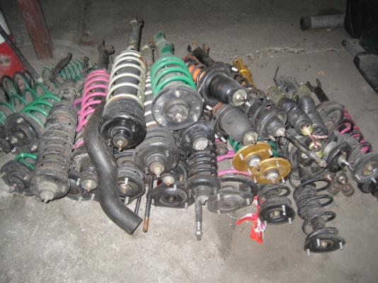 ขายโช๊ค  ต้นละ 1000