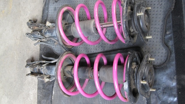 ขายโช๊ค  ต้นละ 1000