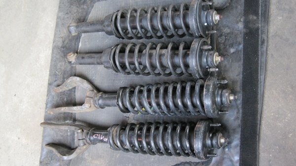 ขายโช๊ค  ต้นละ 1000