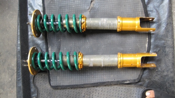 ขายโช๊ค  ต้นละ 1000