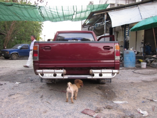 Isuzu TFR 93 มังกรทอง 2500 90 Hp สีสด ๆ สวยๆ บางทั้งคันพร้อมใช้งาน