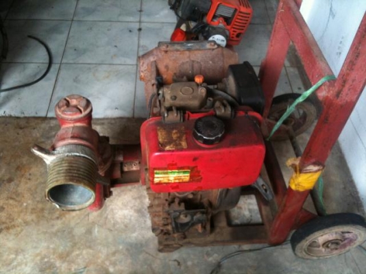 ขายเครื่องดีเซลสูบน้ำ 3 นิ้ว พร้อมรถเข็น ขายเครื่องดีเซลสูบน้ำ 3 นิ้ว พร้อมรถเข็น