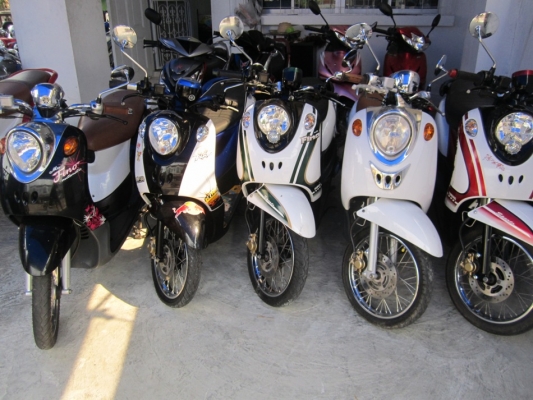 ยังไงก็ขายมอไซค์มือสองทุกรุ่นหลายคันราคาปลีกส่ง ยังไงก็ขายมอไซค์มือสองทุกรุ่นหลายคันราคาปลีกส่ง