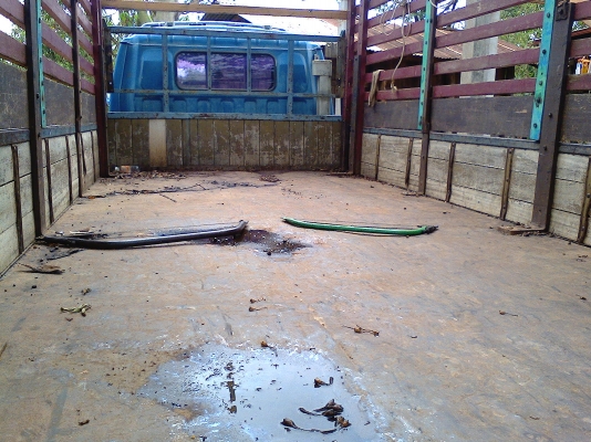 NPR59P รถประกอบFหลัง คานหน้า5น้อต เครื่อง115 ยาว5.5 เมตร เพาเวอร์