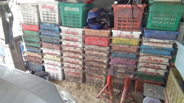 ลังพลาสติก แหล็ก ลังผลไม้