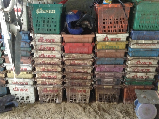 ลังพลาสติก แหล็ก ลังผลไม้