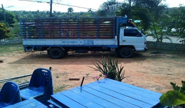 ขายหกล้ออีซูซุ หัวกว้าง NPR 110 รถสวยพร้อมใช้งานแอร์เย็น พวงมาลัยเพาเวอ  ระบบไฟเตือนหน้าปัดใช้ได้ทุกอย่าง ราคาคุยกันได้