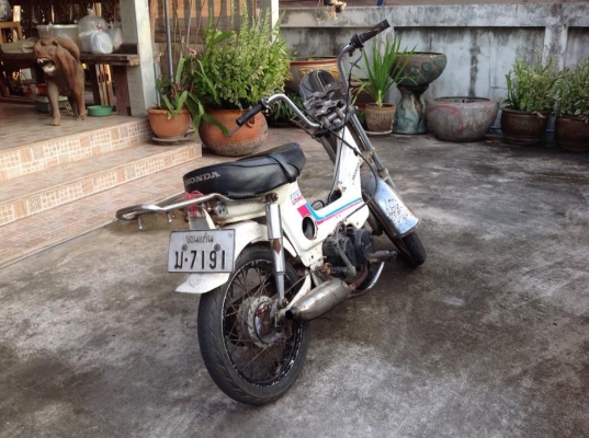 ขาย ชาลี