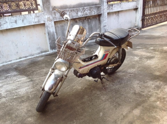 ขาย ชาลี