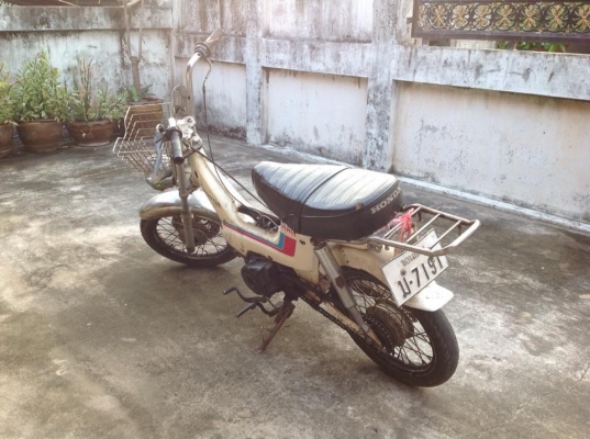 ขาย ชาลี