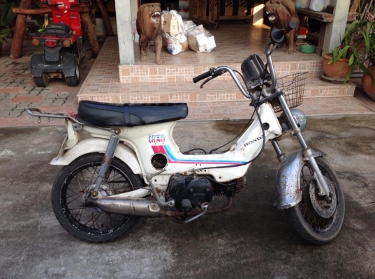 ขาย ชาลี