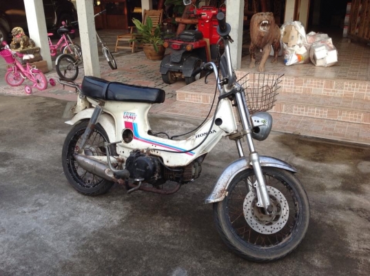 ขาย ชาลี