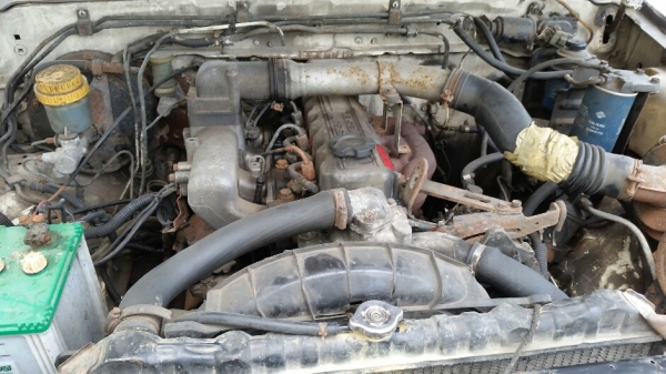 big M หัวเดียวเครื่องฝาแดง ขับได้เครื่องดี  ขาย 42,000 บาท