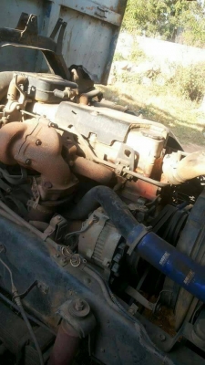 ขายนางฟ้า240แม่-ลูก 1030000