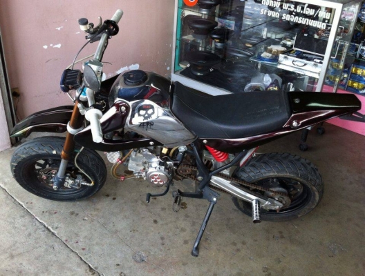 kawasaki cheer (ksr strunt)