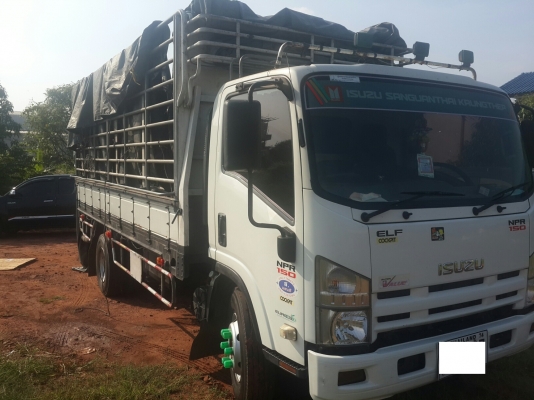 ขายครับ NPR150 กระบะคาร์โก้คอก ปี54 ยาว 5 m พร้อมใช้ 088-4501277