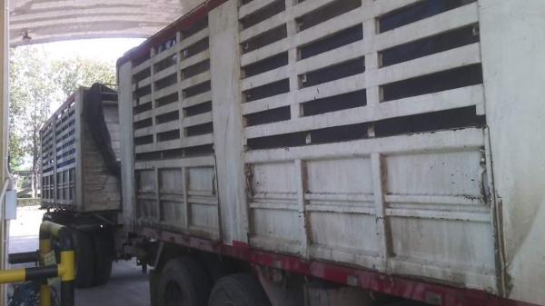 ขายรถพ่วงHINO 344 ซีรี่500 รถสวยพร้อมใช้งาน เอกสารพร้อมโอน สนใจโทร 090-8588220คุณนะ 093-3258446คุณบิว หรือเข้าดูสินค้าอื่นๆได้ที่ www.truck.in.th/498 หรือเพจFacebook ณรงค์ ซื้อขายรถมือสอง (เว็บไซต์ส่วนตัว) หรือFacebook คุณนะ รถบรรทุก ขายรถพ่วงHINO 344 ซีรี่500 รถสวยพร้อมใช้งาน เอกสารพร้อมโอน สนใจโทร 090-8588220คุณนะ 093-3258446คุณบิว หรือเข้าดูสินค้าอื่นๆได้ที่ www.truck.in.th/498 หรือเพจFacebook ณรงค์ ซื้อขายรถมือสอง (เว็บไซต์ส่วนตัว) หรือFacebook คุณนะ รถบรรทุก