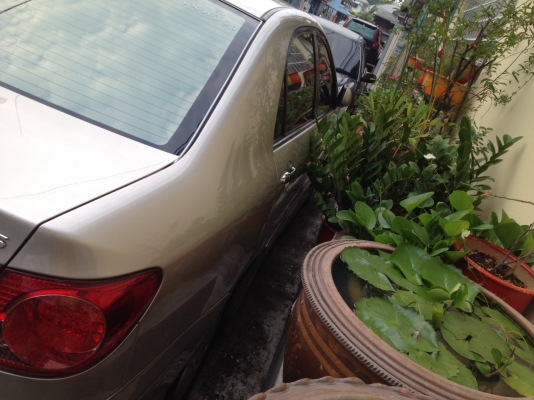 ALTIS1.6G AIRBAG/ABS รถมือเดียว สภาพสวย สีดี เครื่องดี ช่วงล่างแน่น วิ่งน้อย120,+++กม. ภายในไม่โทรม มีลายไม้ เบาะหนังสีครีม แอร์ออโต้ คนแก่ใช้ ไม่เคยติดแก๊ซ ขาย 280000 มาดูก่อนได้ ต่อรองได้ สภาพ1ใน200 สนใจ 0827861333 ดูรถ ลาดพร้าว 87 ครับ