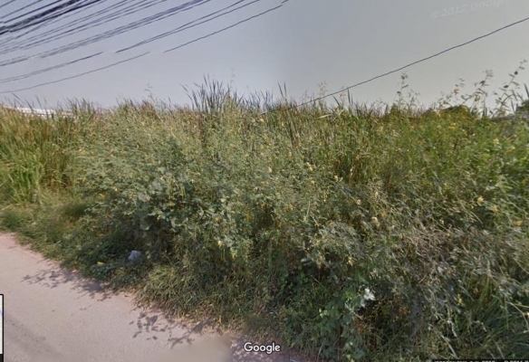 ขายที่ดินบางขุนเทียน ซอยวัดพรหมรังษี ถนนพระราม 2 เนื้อที 1ไร่ 2 งาน 30 ตร.ว ขายที่ดินบางขุนเทียน ซอยวัดพรหมรังษี ถนนพระราม 2 เนื้อที 1ไร่ 2 งาน 30 ตร.ว