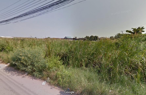 ขายที่ดินบางขุนเทียน ซอยวัดพรหมรังษี ถนนพระราม 2 เนื้อที 1ไร่ 2 งาน 30 ตร.ว ขายที่ดินบางขุนเทียน ซอยวัดพรหมรังษี ถนนพระราม 2 เนื้อที 1ไร่ 2 งาน 30 ตร.ว