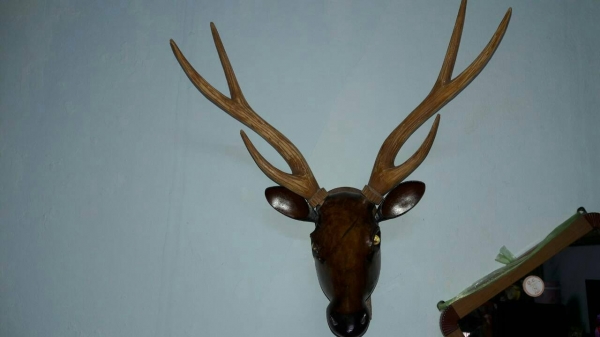 ขายหัวกวางไม้สักเก่า