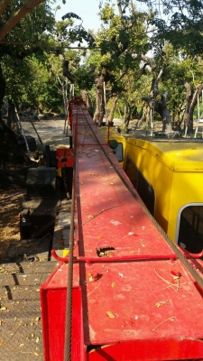 ขออนุญาติขาย รถ เครน TADANO  25T  ปั้ม2ตอนดันหน้า 12ล้อเอกสารเล่มพร้อม ใช้งานไม่มีบูมกิ๊ปราคา  1950000  สนใจติดต่อ  0853224877-0988930465