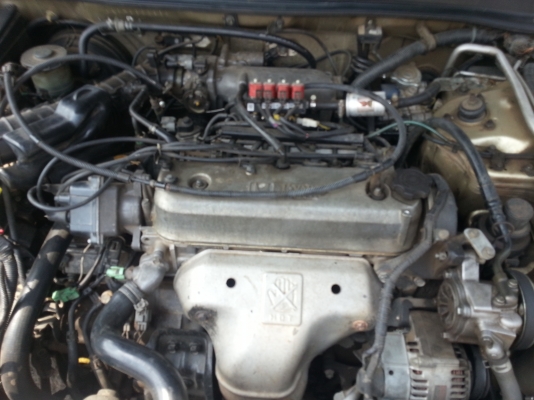 ขายถูก HONDA ACCORD ไฟท้าย 2 ก้อน ขายถูก HONDA ACCORD ไฟท้าย 2 ก้อน