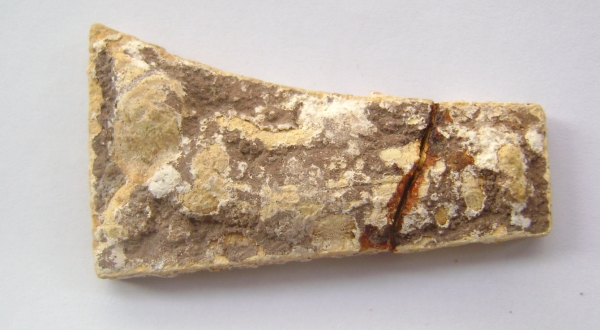 สมเด็จบางขุนพรหมกรุใหม่พิมพ์ไสยาสน์