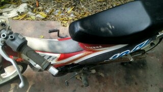 yamaha jrs yamaha jrs