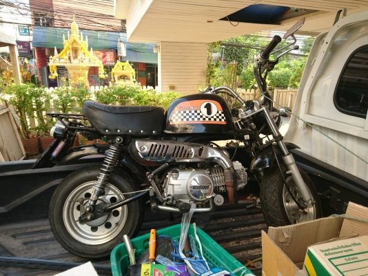 ขายกอจีนทะเบียน14500