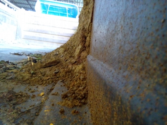 10ล้ออีซูสุ 240  แรงม้า ตัวแท้(โค๊ตR)  พร้อมใช้งาน..เล่มพร้อม