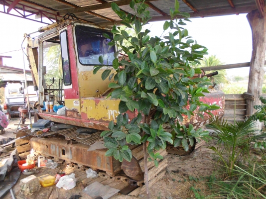 แบคโฮ โคมัทสึ 100-3 สนใจโทร 0935761158, 0808255385 0844966119