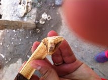 ขายเขี้ยวของหมูเขี้ยวตันแท้ๆ เป็นเครื่องราง ของขลัง ขายเขี้ยวของหมูเขี้ยวตันแท้ๆ เป็นเครื่องราง ของขลัง