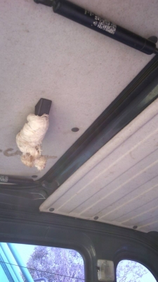 ขายรถแบคโฮ KOBELCO SK200-8 YN12 super เอกสารเล่มทะเบียน 12000 ชม.ราคา 1750000