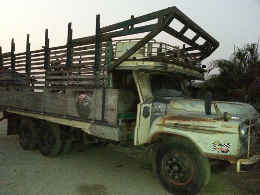 ขายด่วน