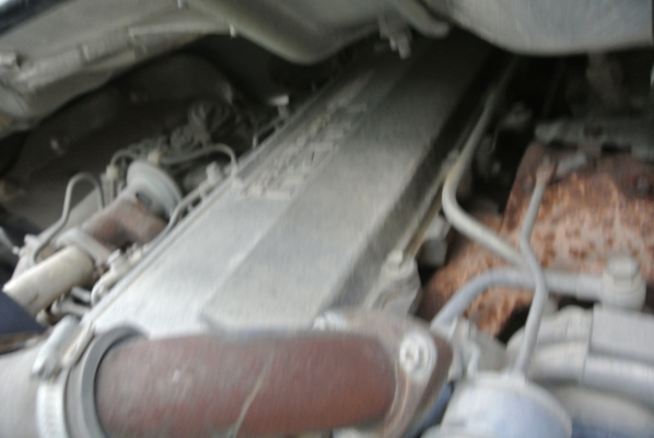 เดินทางสู่จังหวัดลำพูนเรียบร้อยแล้วคะ  ขอบคุณผู้ซื้อและผู้ขายนะคะ