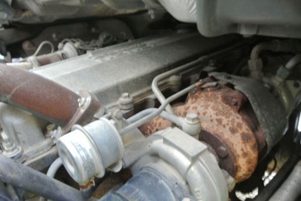 เดินทางสู่จังหวัดลำพูนเรียบร้อยแล้วคะ  ขอบคุณผู้ซื้อและผู้ขายนะคะ