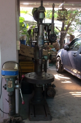 สว่านกิ่ง