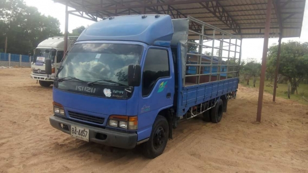 ขายรถ6ล้อ NPR130แรง ยาว5เมตร ภายในสวย เอกสารพร้อมโอน สนใจโทร 090-8588220คุณนะ 093-3258446คุณบิว หรือเข้าดูสินค้าอื่นๆได้ที่ www.truck.in.th/498 หรือเพจFacebook ณรงค์ ซื้อขายรถมือสอง (เว็บไซต์ส่วนตัว) หรือFacebook คุณนะ รถบรรทุก