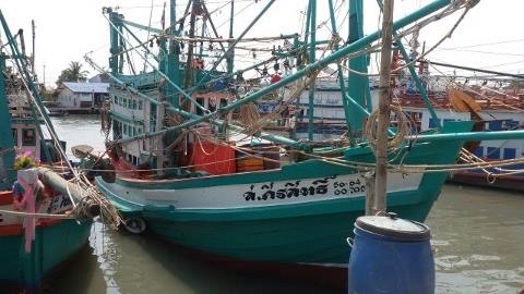 ขายเรือไดร์สวยๆ