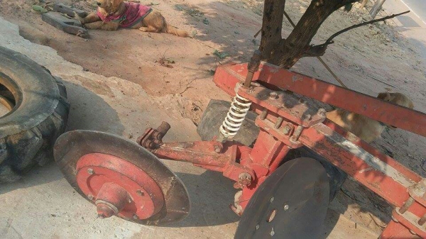 ตราช้างหกน็อต