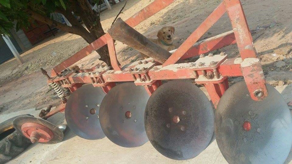 ตราช้างหกน็อต