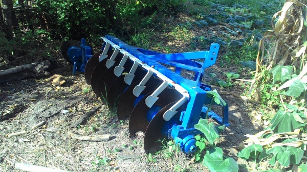 ผาน7&times;26 สวยใบเต็ม