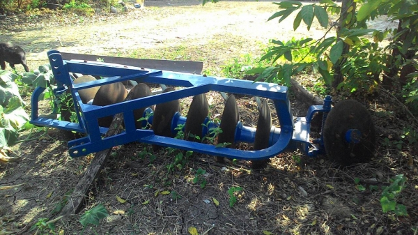 ผาน7&times;26 สวยใบเต็มจัดส่งใด้ครับตามตกลงกัน