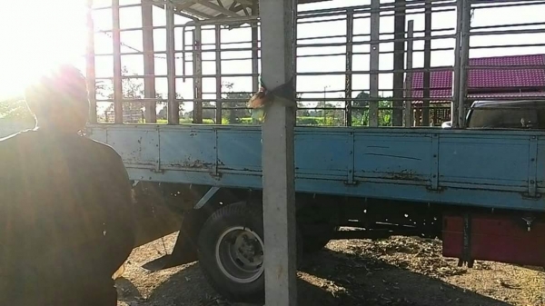 ขายรถ6ล้อ NKR110แรง ยาว4.30เมตร เอกสารพร้อมโอน สนใจโทร 090-8588220คุณนะ 093-3258446คุณบิว หรือเข้าดูสินค้าอื่นๆได้ที่ www.truck.in.th/498 หรือเพจFacebook ณรงค์ ซื้อขายรถมือสอง (เว็บไซต์ส่วนตัว) หรือFacebook คุณนะ รถบรรทุก