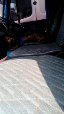 หกล้อ อีซุซุ FRR12L175 แอร์ พ.เวอร์ ทิฟฟี ดั้ม5คิว สภาพดีพร้อมใช้งาน ทะเบียนพร้อมโอน