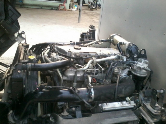 ขาย6ล้อISUZU NQR175แรงยูโร3จดปี54ตู้แห้งยาว5.50เมตรยกตู้ลงใส่กระบะแทนได้ ขาย6ล้อISUZU NQR175แรงยูโร3จดปี54ตู้แห้งยาว5.50เมตรยกตู้ลงใส่กระบะแทนได้