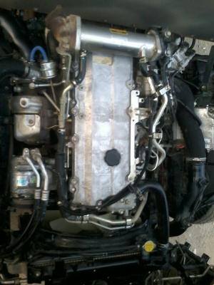 ขาย6ล้อISUZU NQR175แรงยูโร3จดปี54ตู้แห้งยาว5.50เมตรยกตู้ลงใส่กระบะแทนได้ ขาย6ล้อISUZU NQR175แรงยูโร3จดปี54ตู้แห้งยาว5.50เมตรยกตู้ลงใส่กระบะแทนได้