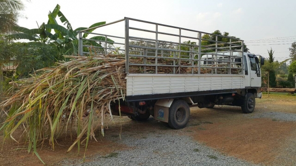 HINO  FD3HHA  รถบรรทุก  6ล้อ ยาว 6 เมตรขาย 580,000